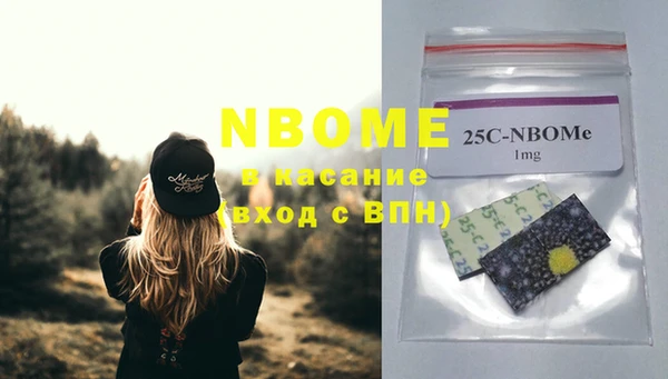 бошки Бородино