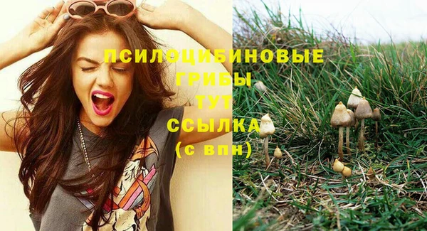 бошки Бородино