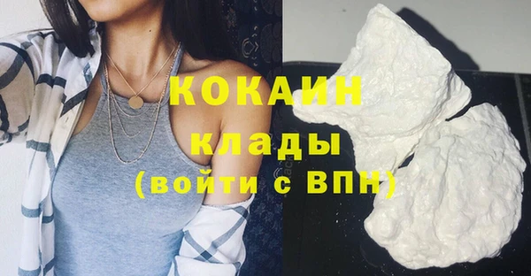 бошки Бородино
