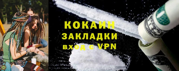 бошки Бородино