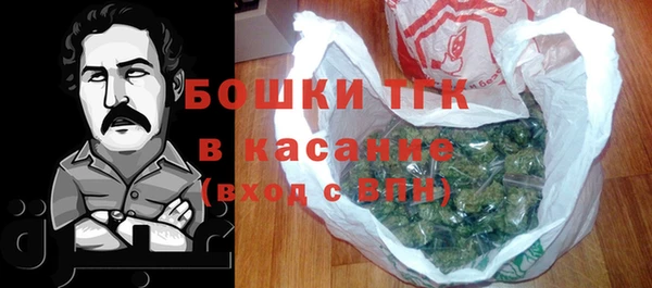 бошки Бородино