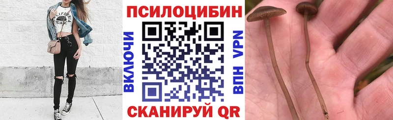 Псилоцибиновые грибы MAGIC MUSHROOMS  Миньяр 